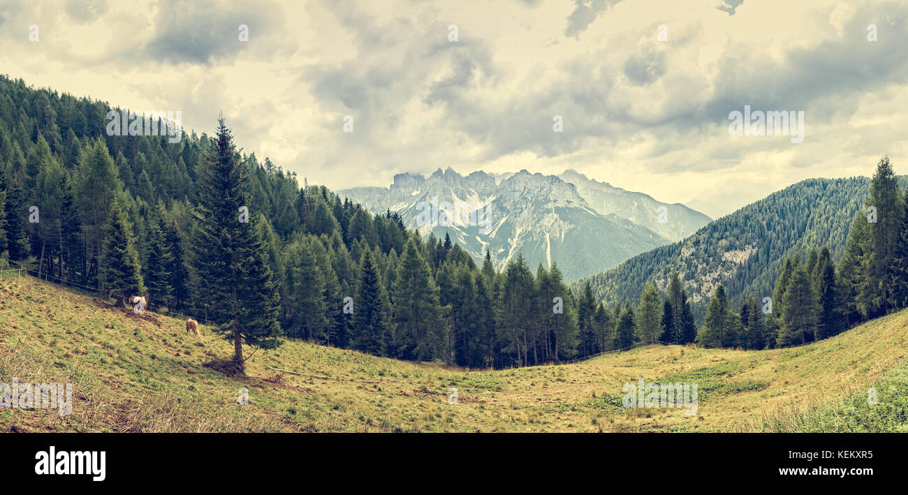 Panorama di montagna con la foresta, cavalli e il cielo con le nuvole in estate. Foto Stock