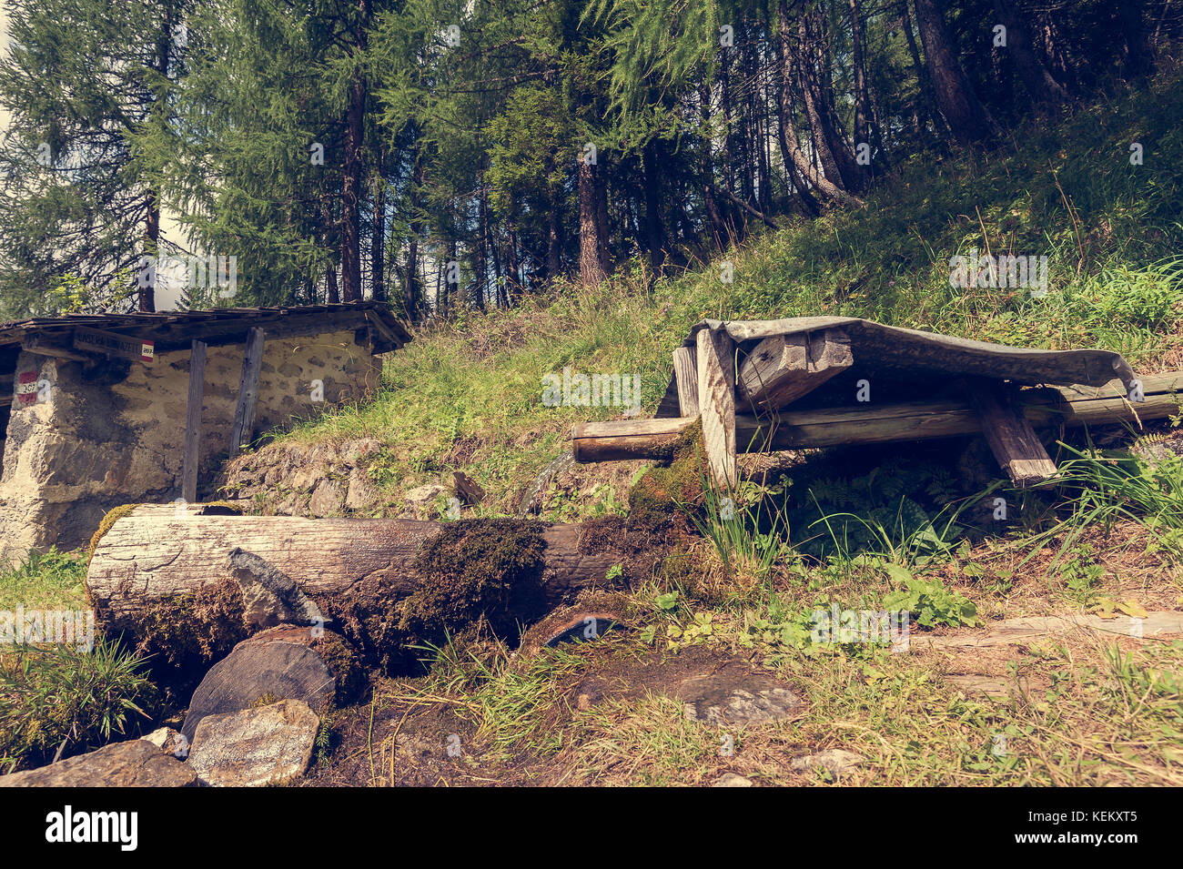 Vecchia fontana di legno in montagna e le foreste in background. foto in stile vintage. Foto Stock