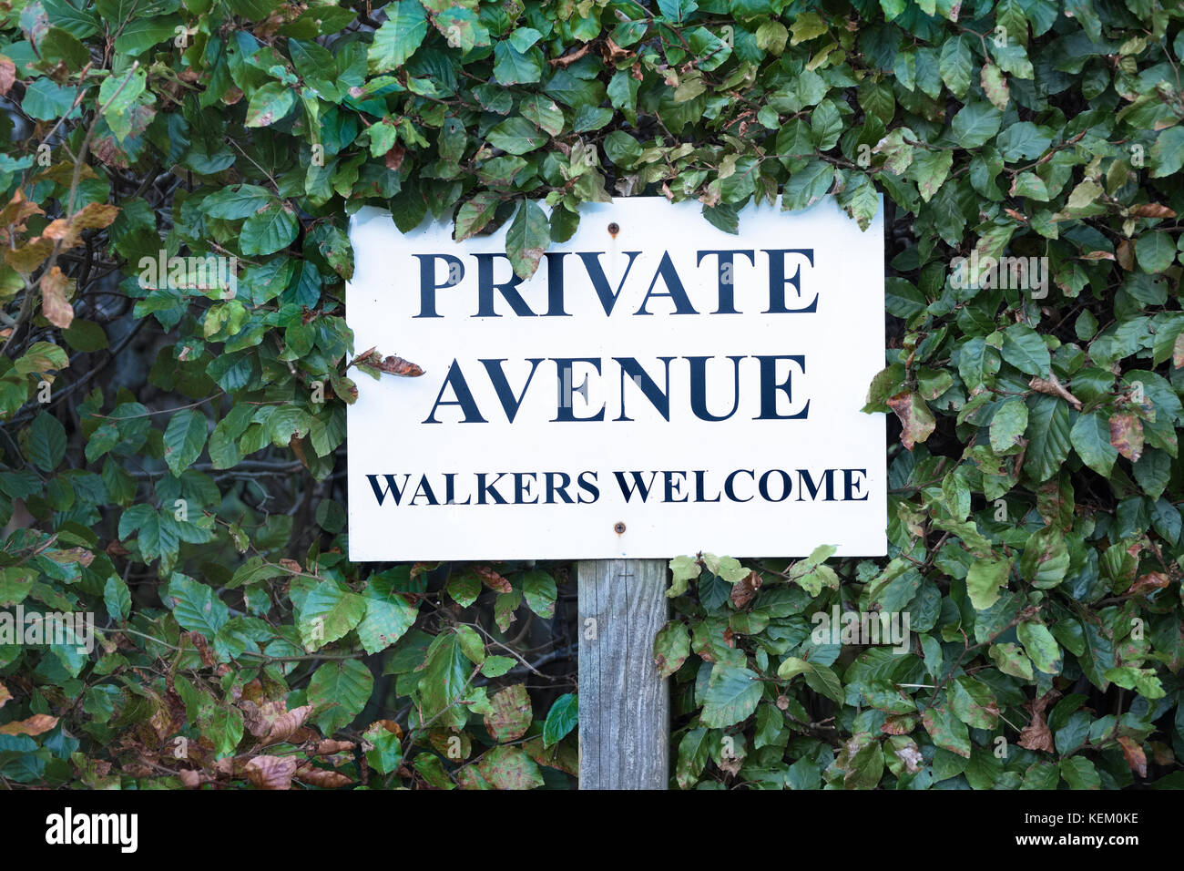 Walker Welcome Private Avenue Sign in Hedge Bush England Countryside Foto Stock