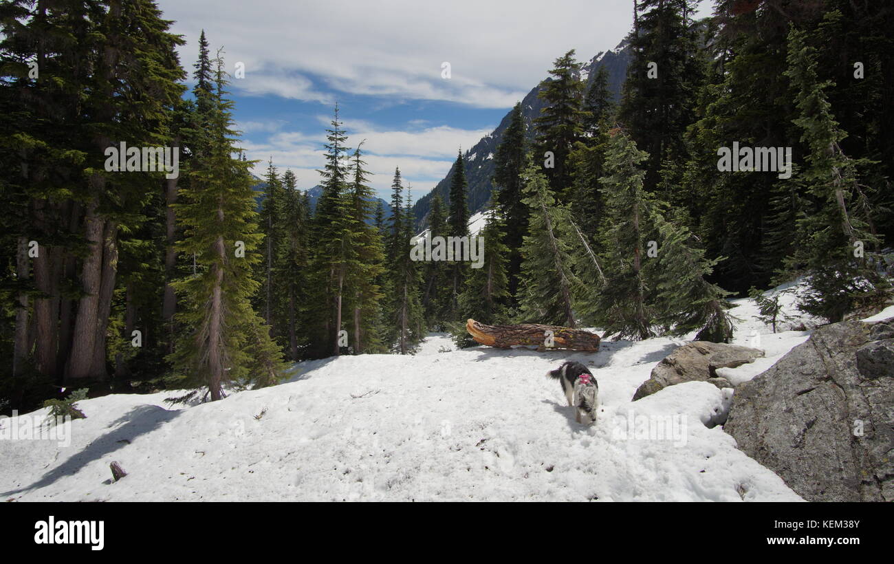 Esplorazione di stato di Washington, il grande Pacific Northwest Foto Stock