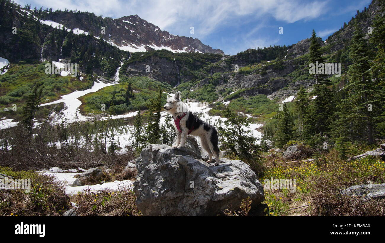 Esplorazione di stato di Washington, il grande Pacific Northwest Foto Stock