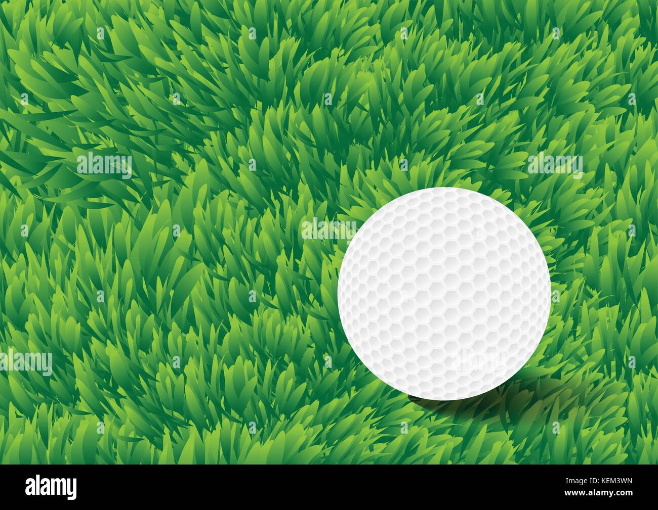 Pallina da golf su erba verde dello sfondo dei campi - Vettore illustrazione realistica Illustrazione Vettoriale