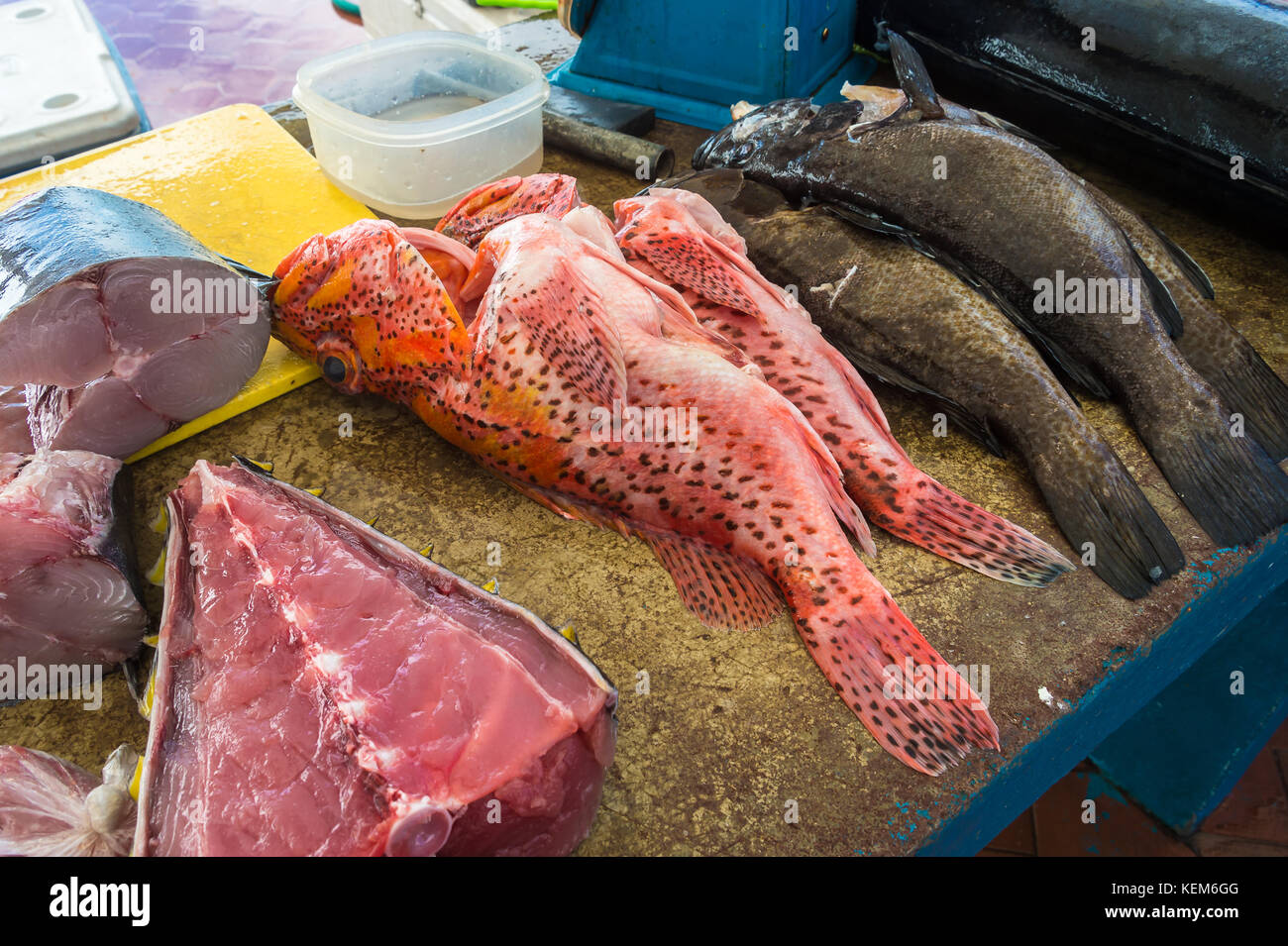 San cristrobal isola,le Galapagos 9 maggio 2017: scelta di tagli di pesce a ocal mercato del pesce Foto Stock
