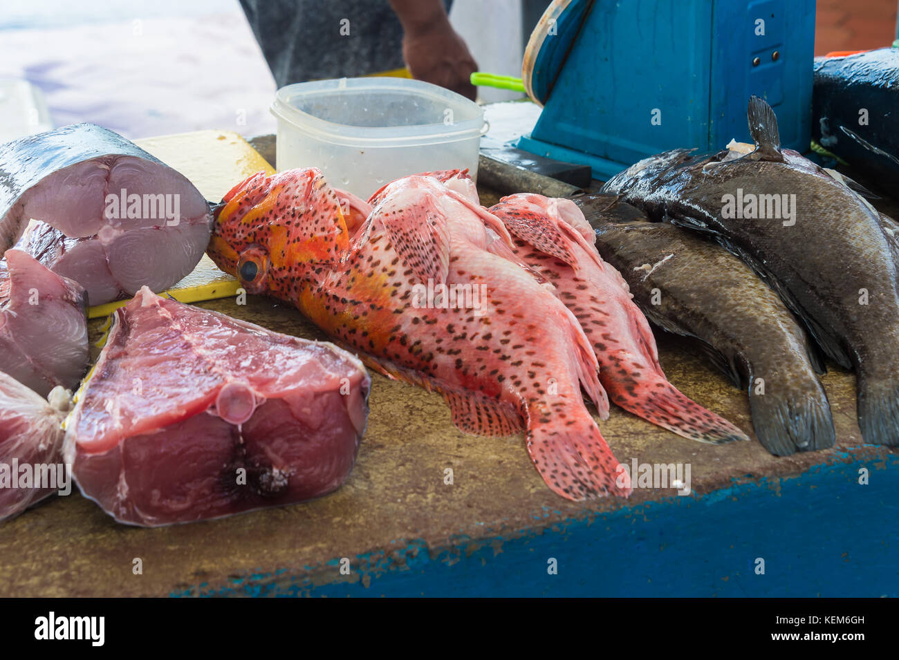 San cristrobal isola,le Galapagos 9 maggio 2017: scelta di tagli di pesce a ocal mercato del pesce Foto Stock