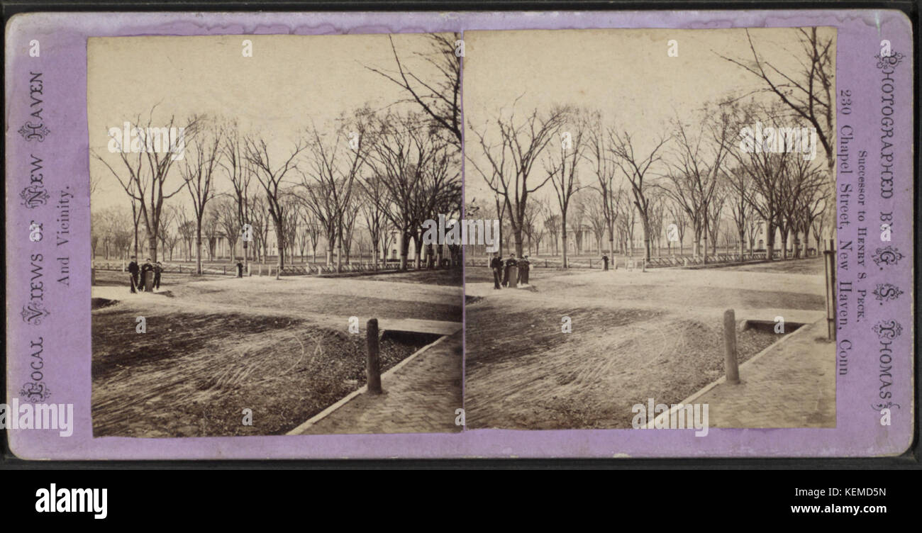 Vecchio verde dal Chapel Street, da G. S. Tommaso Foto Stock