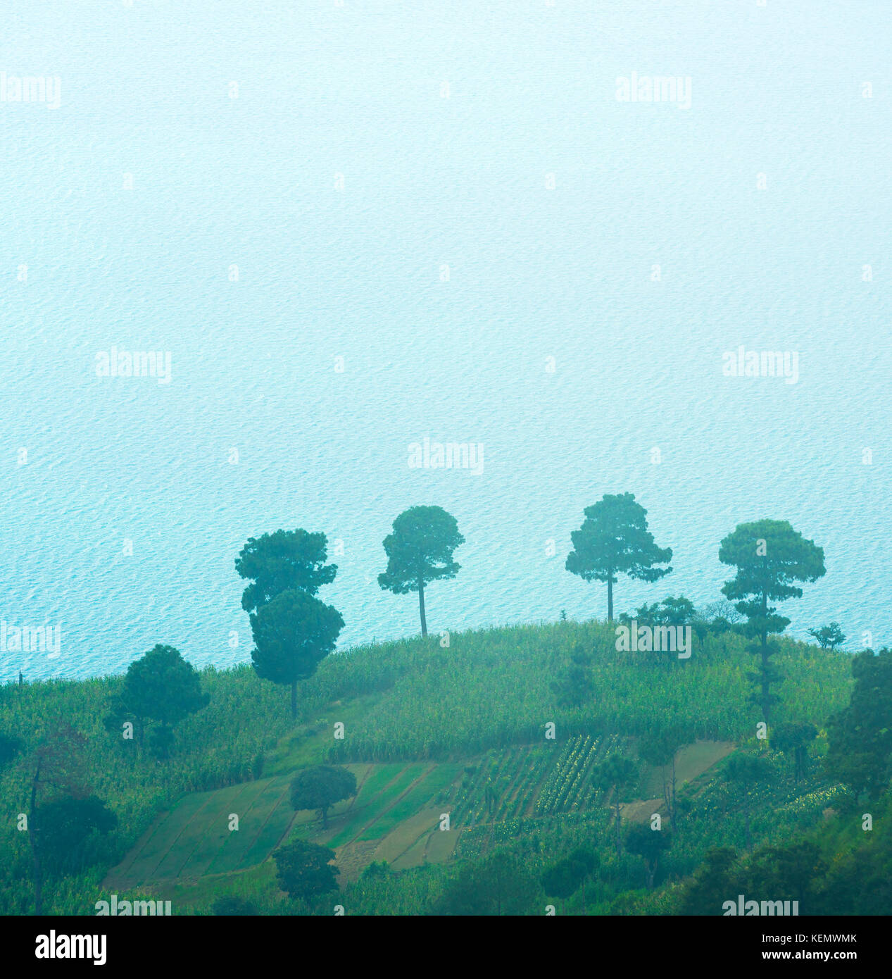 Campi collinari in nebbia con il lago Atitlan in Guatemala Foto Stock