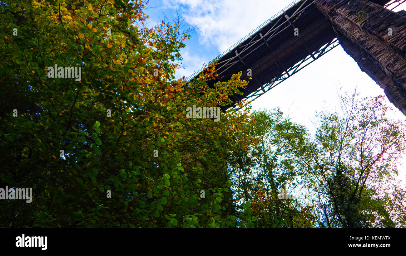 Historic grade 2 listed building, il ponte ferroviario a st pinnock Foto Stock