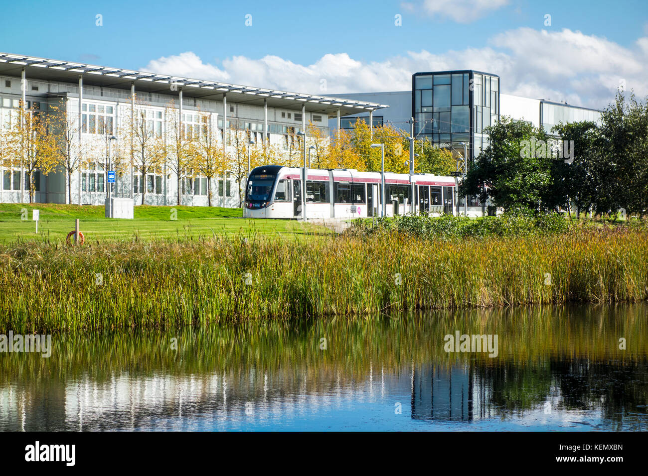 Edinburgh Tram a Edinburgh Park Central. La Scozia, Regno Unito Foto Stock