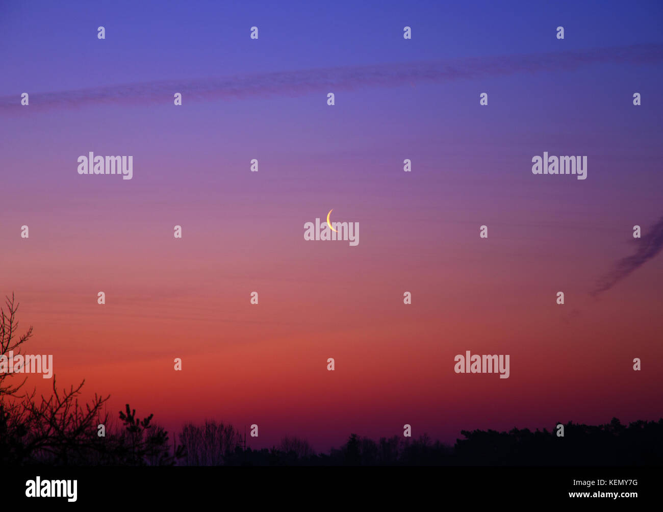Vista del cielo mattutino all'alba con luna crescente e nuvole sopra le cime degli alberi Foto Stock