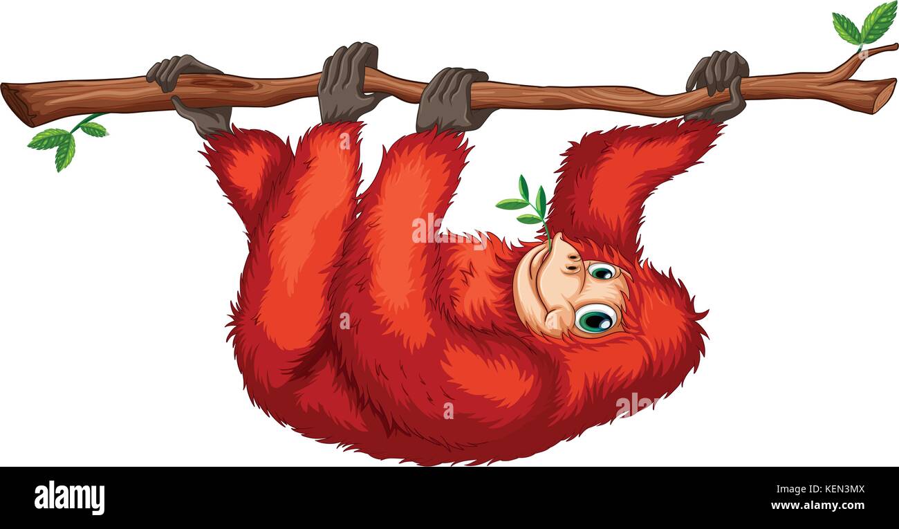Illustrazione di un orangutan rosso su sfondo bianco Illustrazione Vettoriale