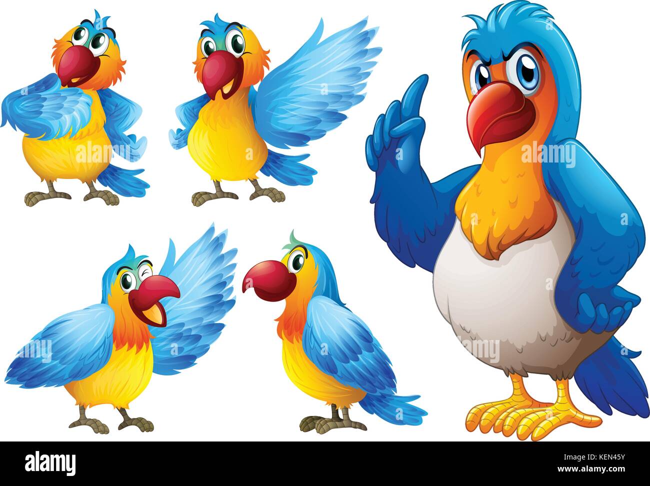 Illustrazione di un set di Parrot Illustrazione Vettoriale