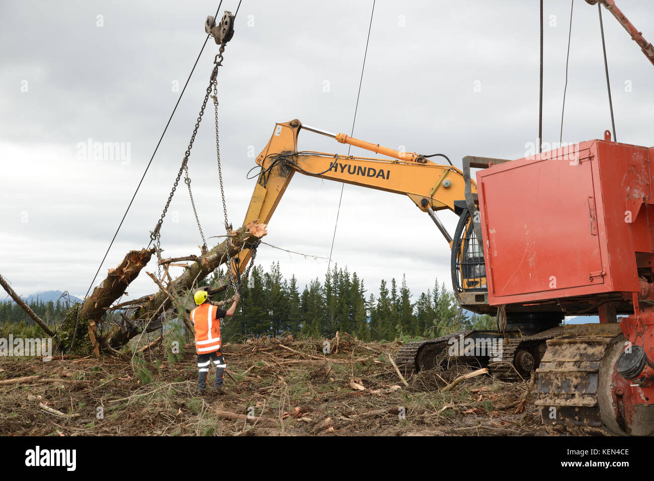 KUMARA, Nuova Zelanda, Settembre 20, 2017: un lavoratore forestale rimuove la catena da un registro ad un sito di registrazione nei pressi di Kumara, West Coast, Nuova Zelanda Foto Stock
