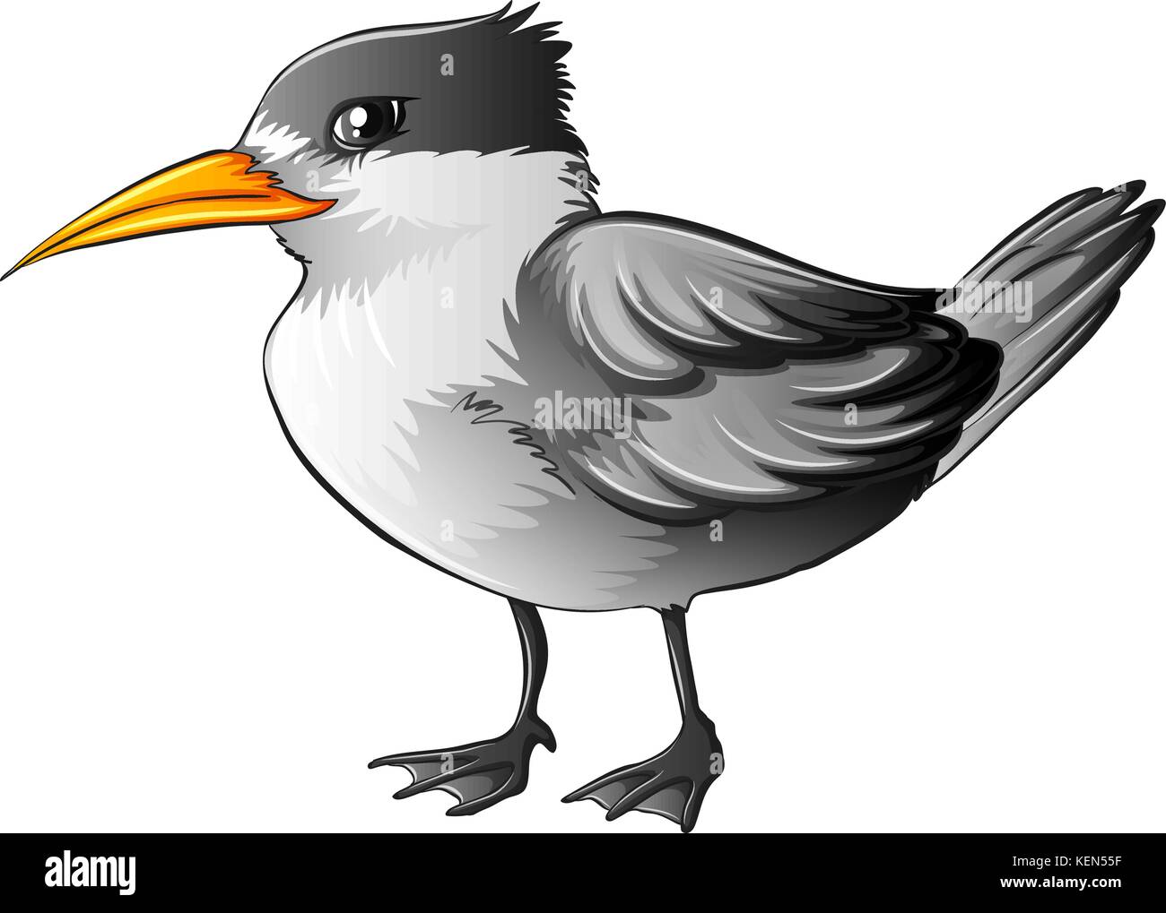 Illustrazione di un close up bird Illustrazione Vettoriale Illustrazione di un close up bird Illustrazione Vettoriale
