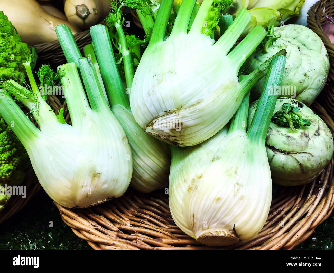 Fresche di finocchio organico nel mercato Foto Stock