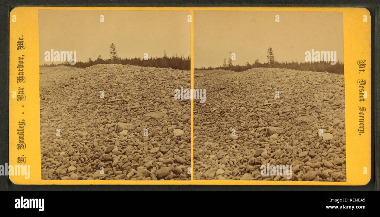 La parete del mare, da B. Bradley Foto Stock