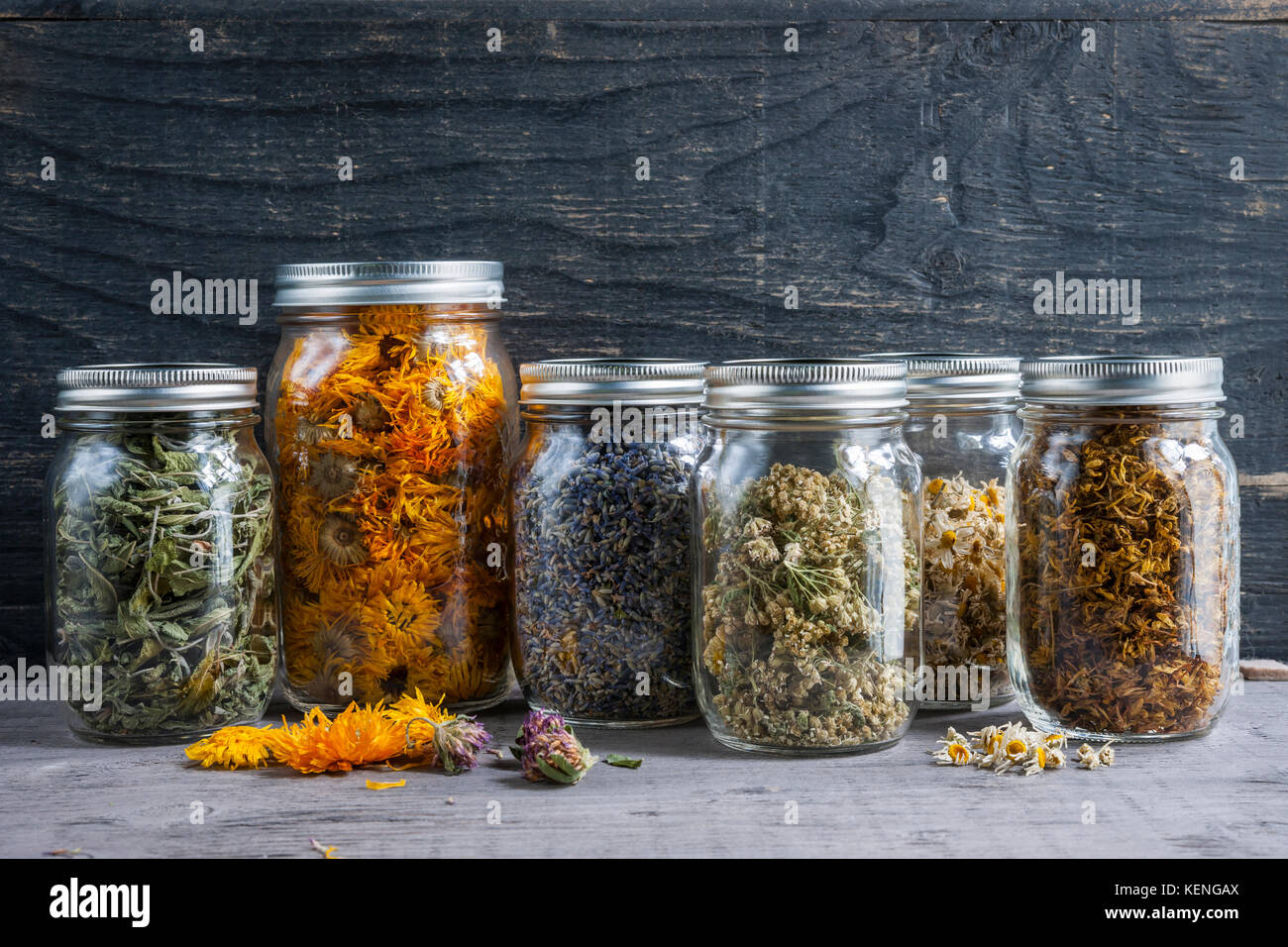 Varie erbe officinali essiccate e tisane in diversi vasi di vetro su grigio Sfondo legno con spazio di copia Foto Stock