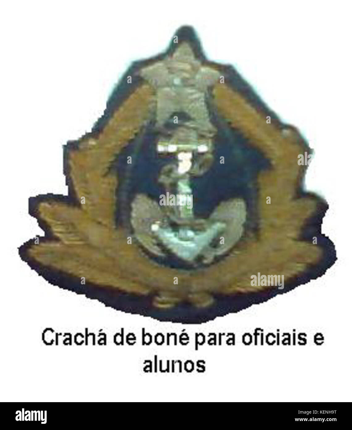 Un osso è un organo rigido che costituisce parte dell'endoscheletro dei vertebrati. Funge da struttura per il supporto, la protezione degli organi, la facilitazione del movimento, la conservazione di minerali e la produzione di cellule ematiche. Le ossa sono costituite da una matrice densa di collagene e tessuto mineralizzato. Foto Stock