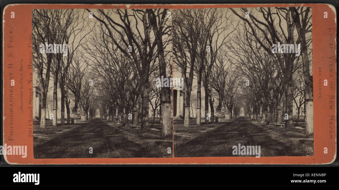 Temple Street, da Peck, H. S. (Henry S.) Foto Stock