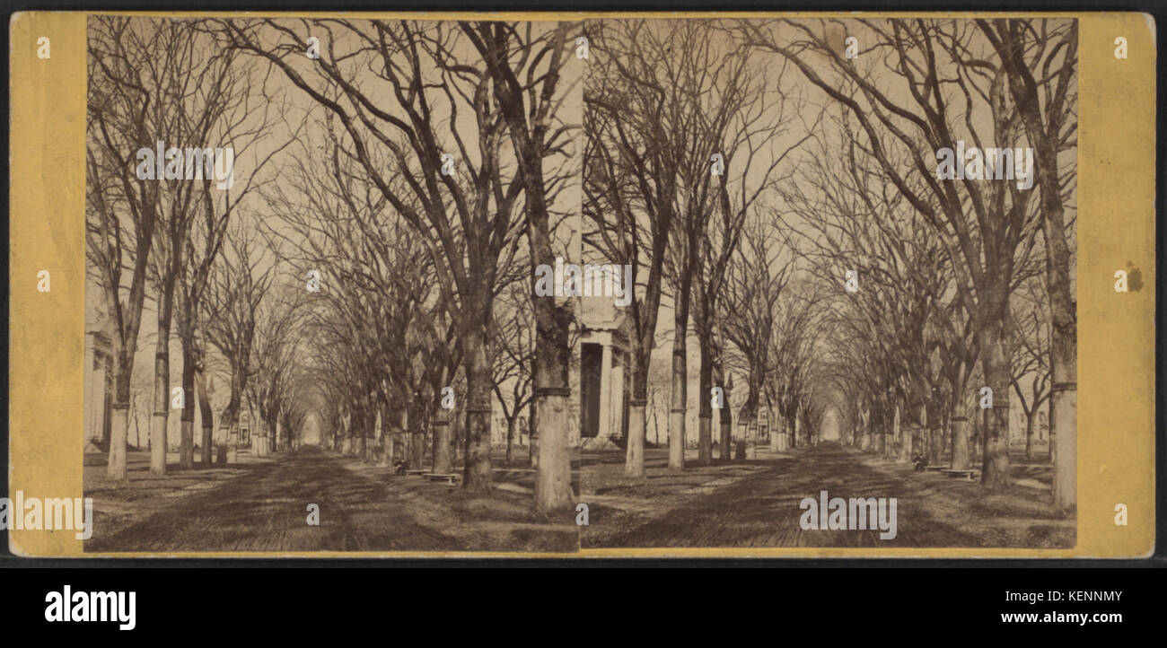 Una fotografia di Henry S. Peck raffigurante Temple Street a New Haven, Connecticut, che mostra l'ambiente urbano e la vita di strada dei primi anni del XX secolo. Foto Stock