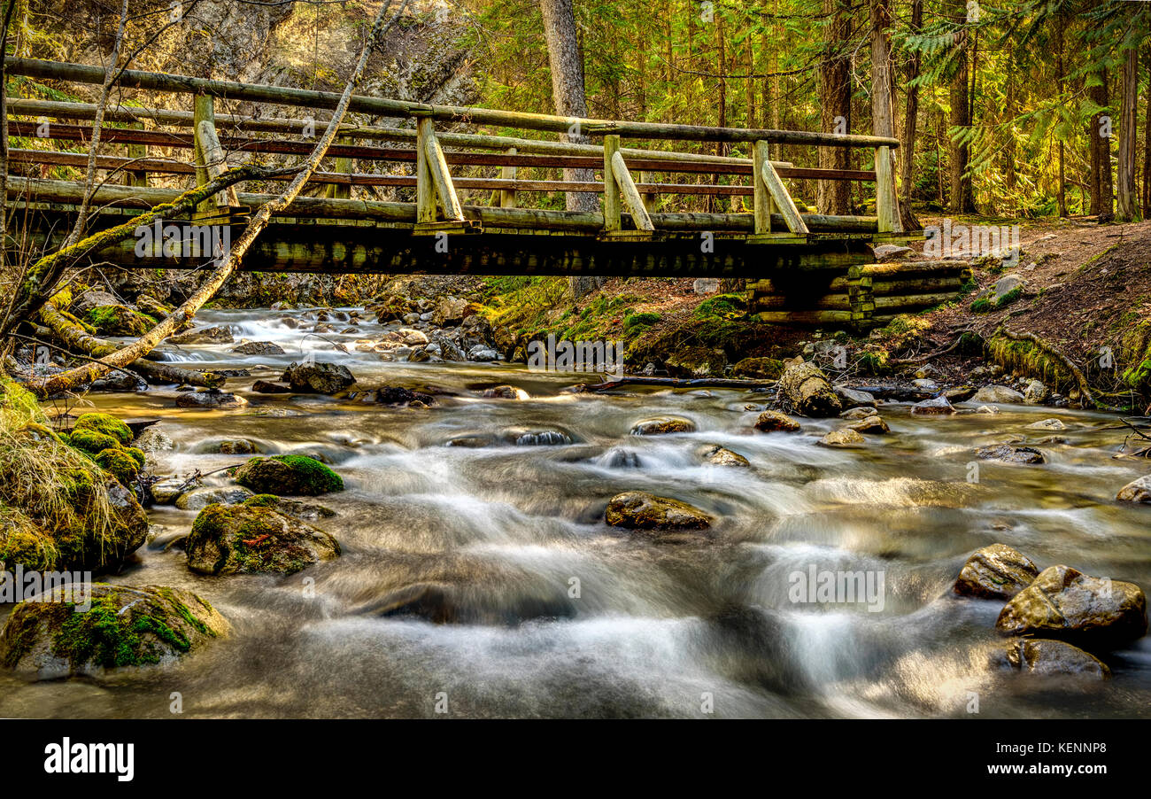 Buon Bridge si trova in Radium della Columbia britannica in Canada. Foto Stock