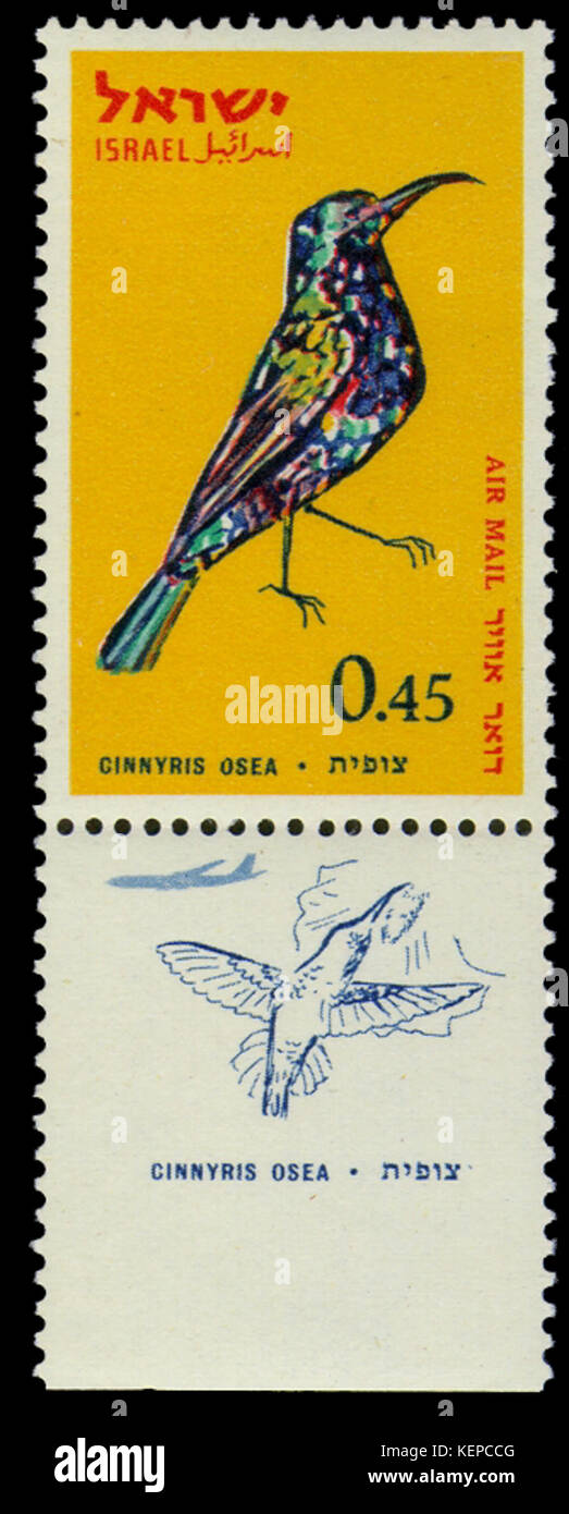 Francobolli israeliano 1963 Uccelli di Israele osea Cinnyris Foto Stock