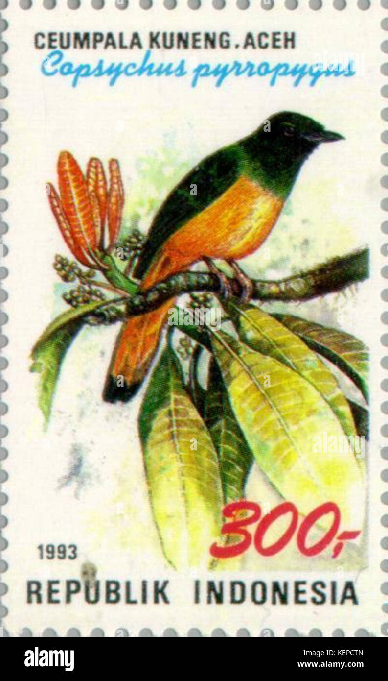 Copsychus pyrropygus 1993 Indonesia timbro Foto Stock
