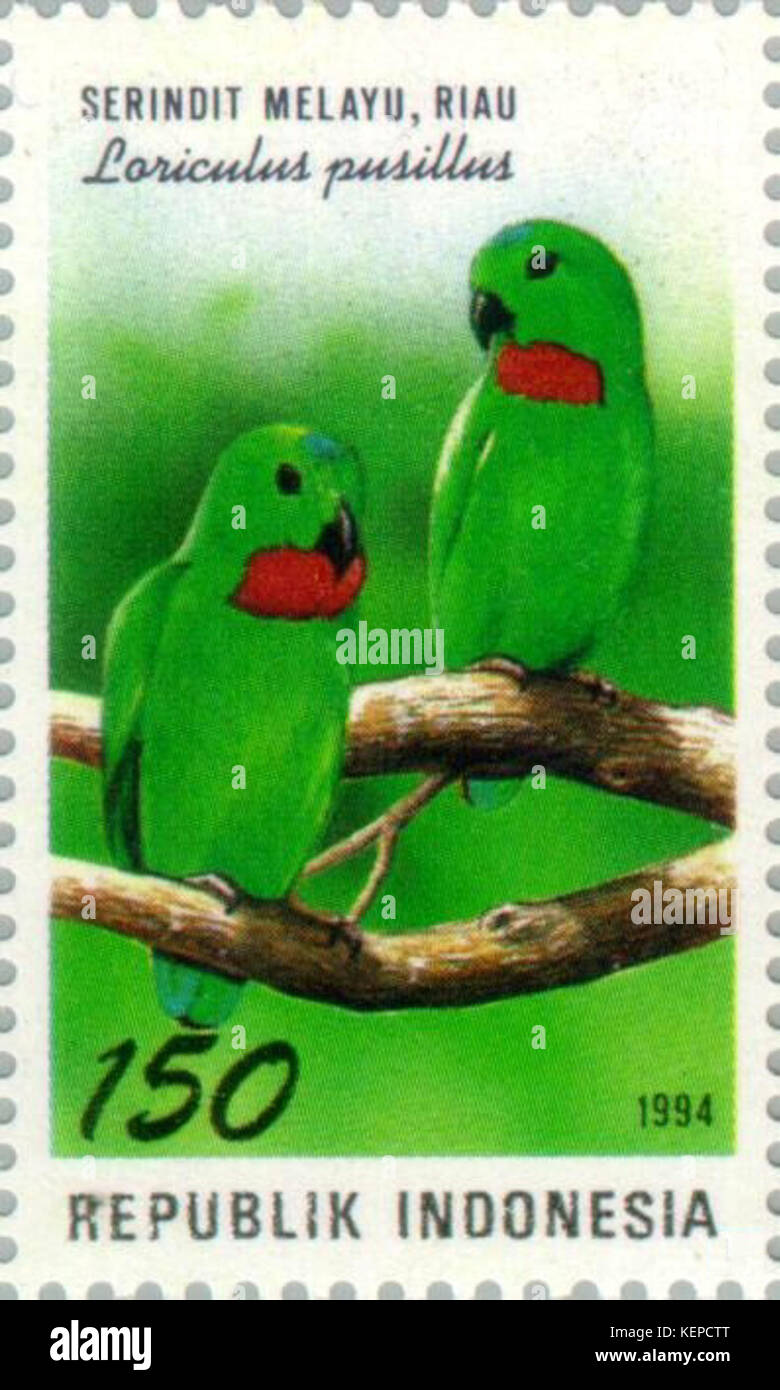 Loriculus pusillus 1994 Indonesia timbro Foto Stock