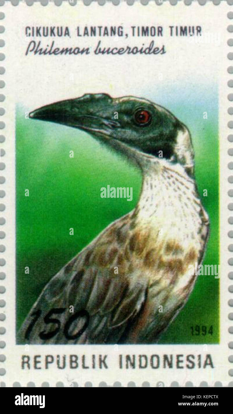 Filemone buceroides 1994 Indonesia timbro Foto Stock