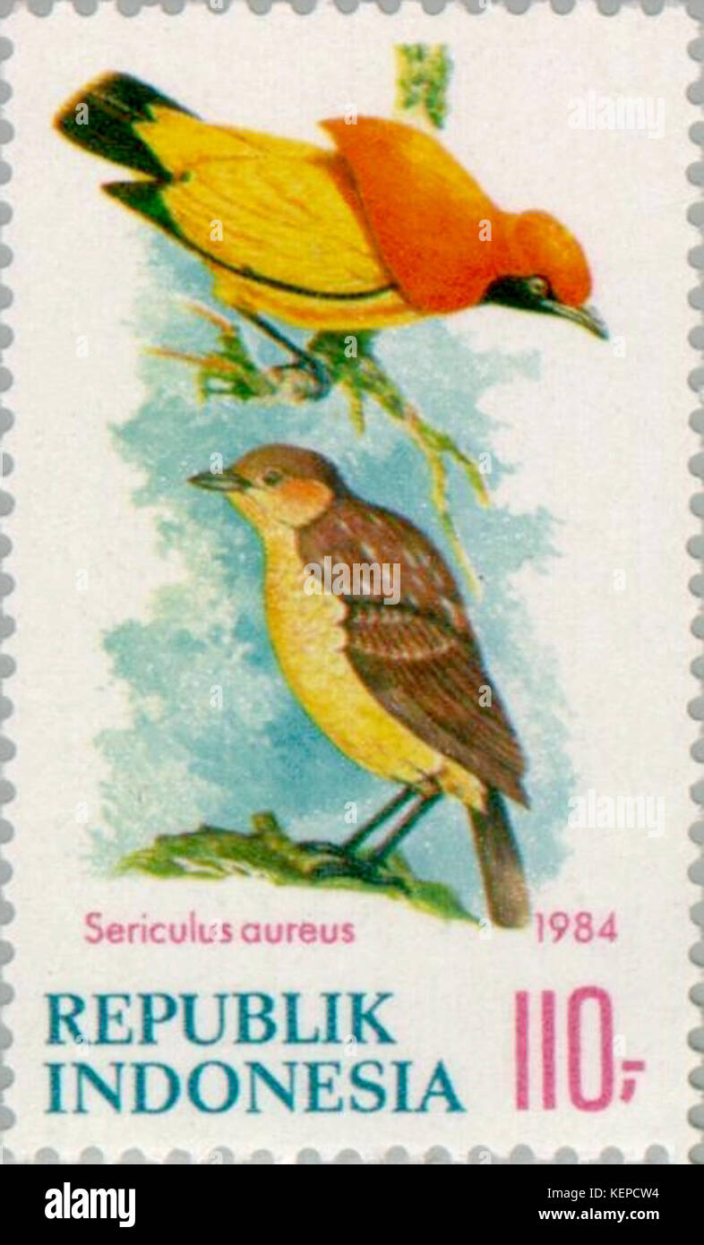 Sericulus aureus 1984 Indonesia timbro Foto Stock