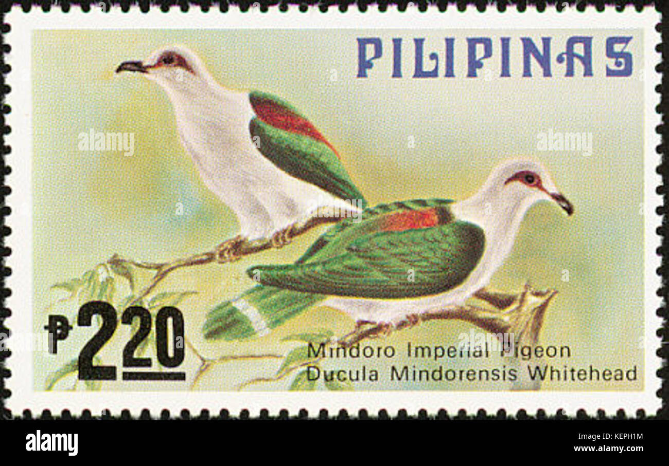 Ducula mindorensis 1979 timbro delle Filippine Foto Stock