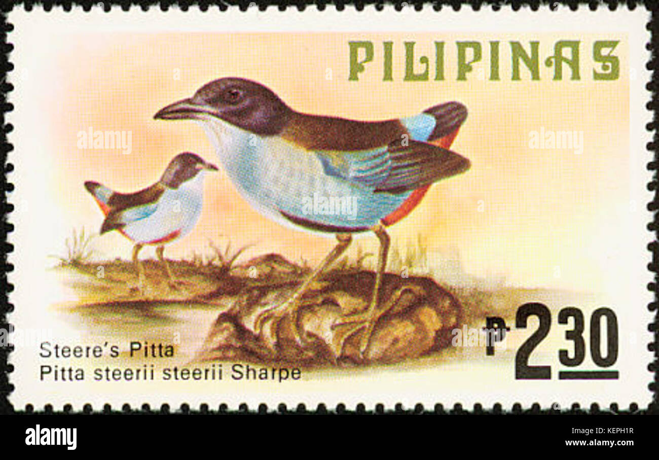 Pitta steerii 1979 timbro delle Filippine Foto Stock