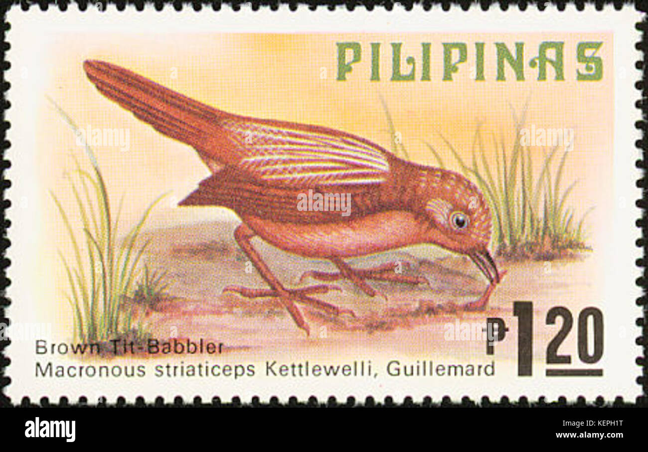 Macronus striaticeps 1979 timbro delle Filippine Foto Stock