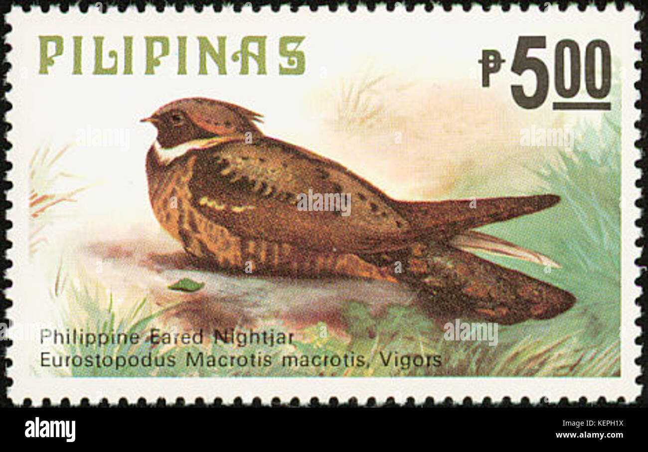 Macrotis Eurostopodus 1979 timbro delle Filippine Foto Stock