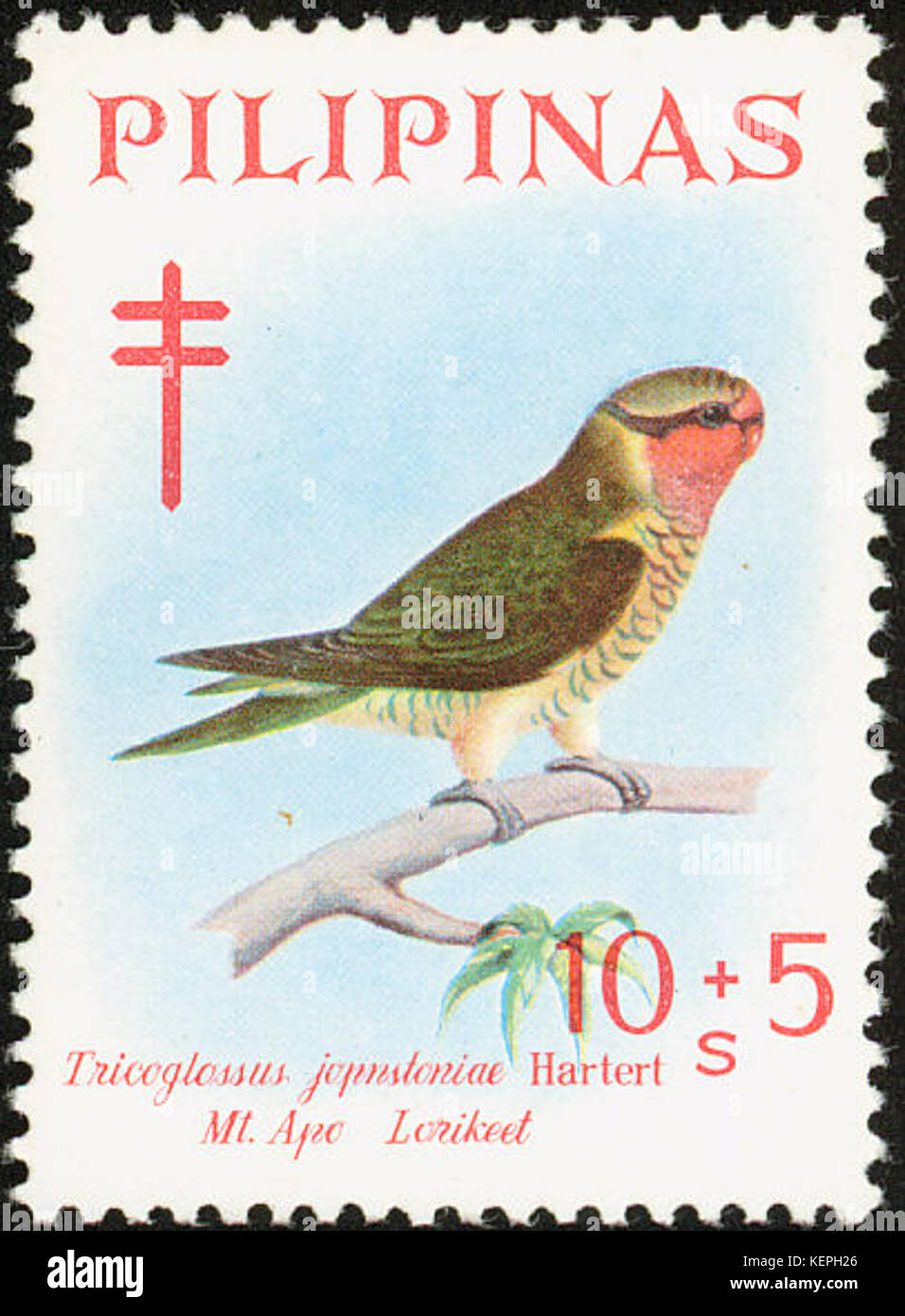 Trichoglossus johnstoniae 1969 timbro delle Filippine Foto Stock