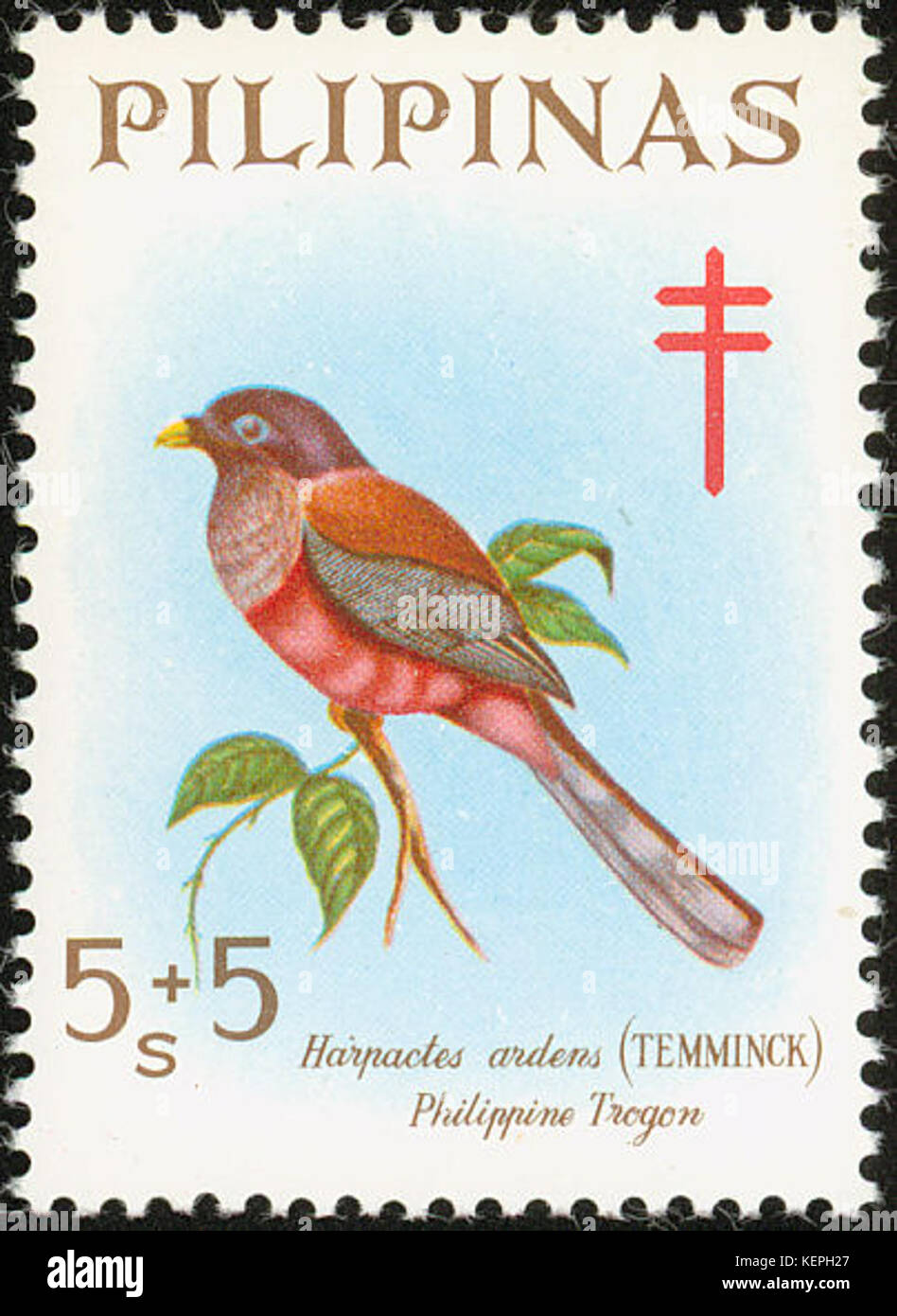 Il francobollo del 1969 delle Filippine raffigura gli Harpactes ardens, una specie di uccello conosciuta come la colomba da frutto con il suo fuoco, originaria del sud-est asiatico. Questa specie è conosciuta per il suo piumaggio vivace. Foto Stock