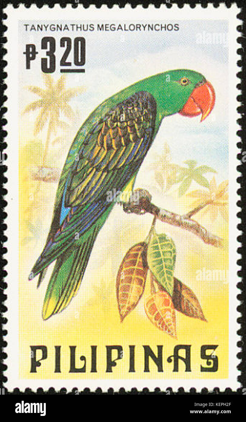 Tanygnathus megalorynchos 1984 timbro delle Filippine Foto Stock