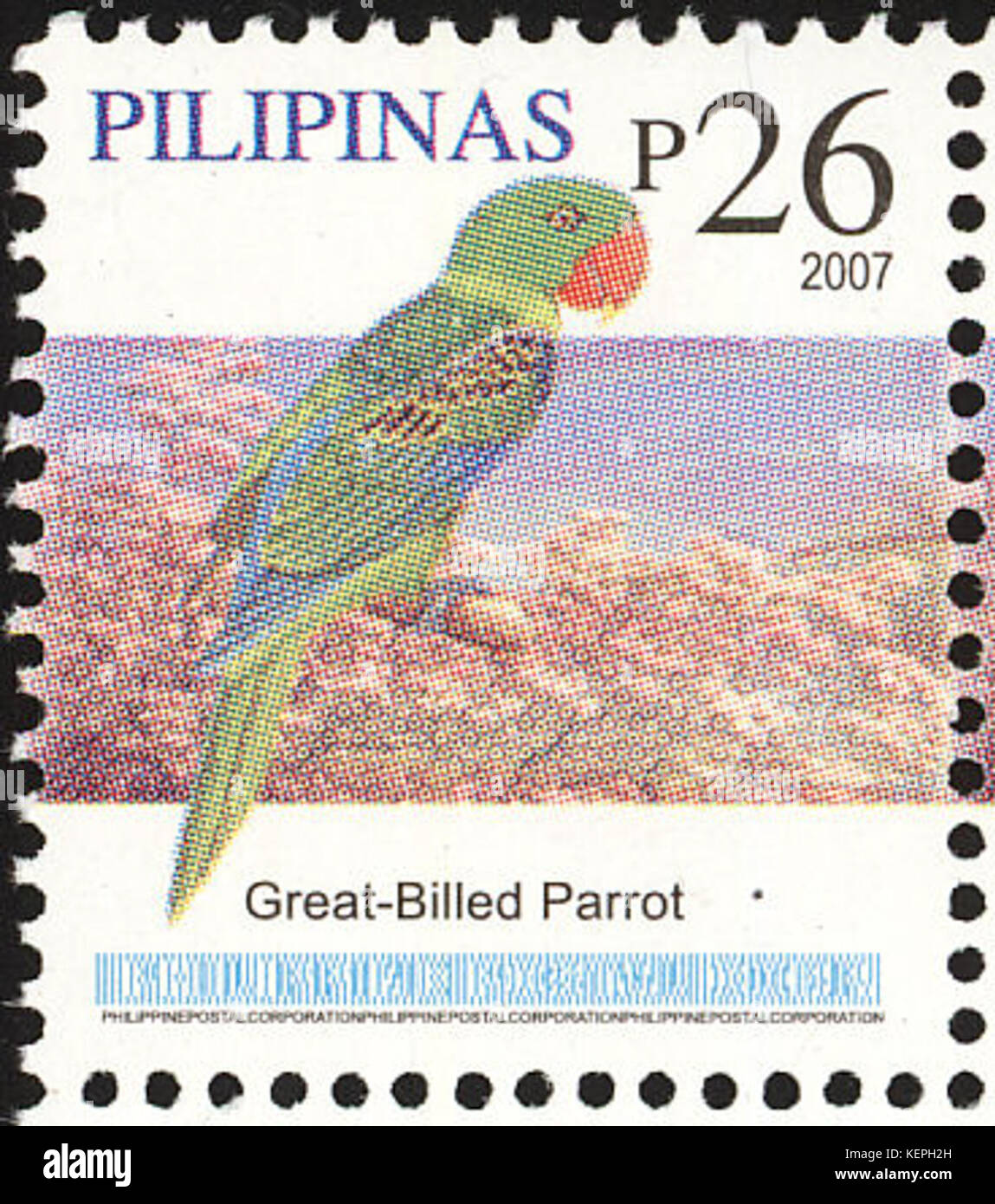 Tanygnathus megalorynchos 2007 timbro delle Filippine Foto Stock