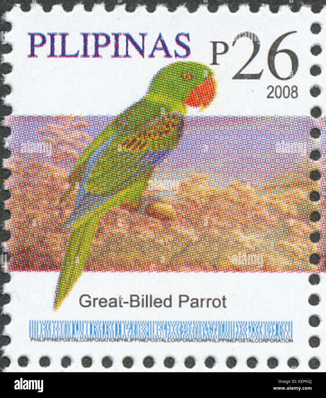 Tanygnathus megalorynchos 2008 timbro delle Filippine Foto Stock