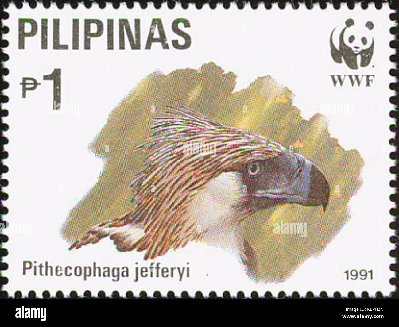 Pithecophaga jefferyi 1991 timbro delle Filippine 1 Foto Stock