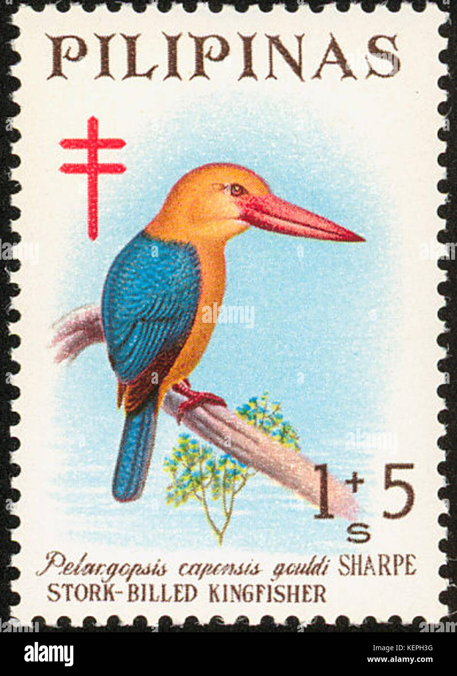 Pelargopsis capensis 1967 timbro delle Filippine Foto Stock