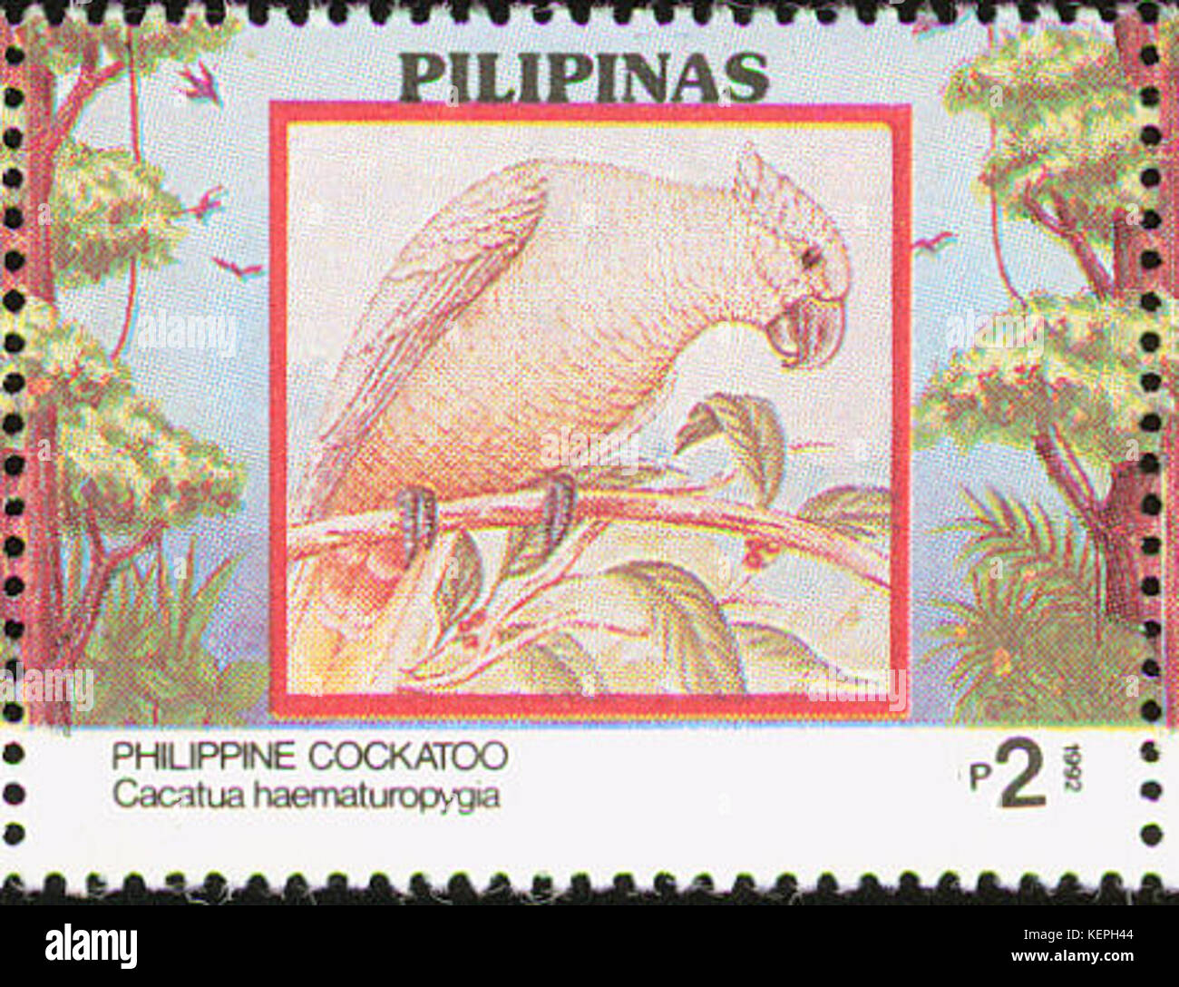 Il Cacatua haematuropygia, conosciuto come il Cockatoo delle Filippine, è riportato su un francobollo filippino del 1992. La specie è originaria delle Filippine ed è in pericolo critico. Foto Stock
