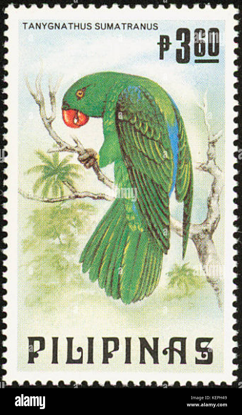 Tanygnathus sumatranus 1984 timbro delle Filippine Foto Stock