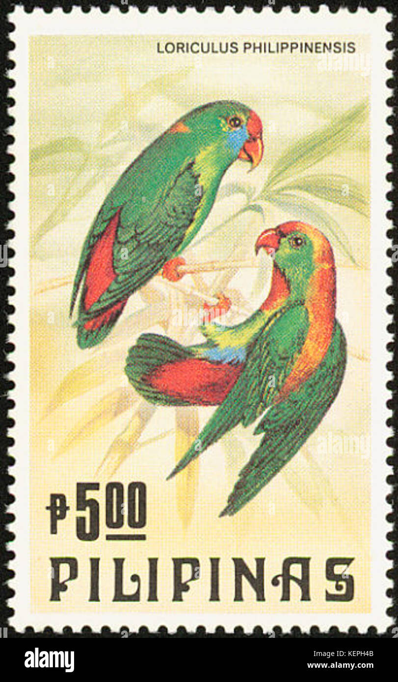Loriculus philippensis 1984 timbro delle Filippine Foto Stock