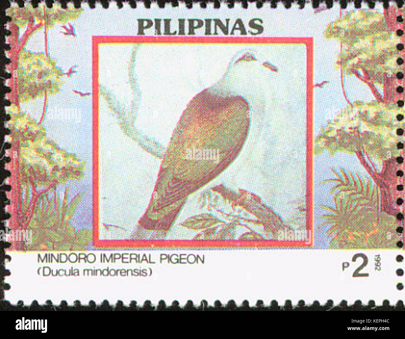 Un francobollo del 1992 dalle Filippine raffigurante Ducula mindorensis, una specie di uccelli, che contribuisce agli sforzi di sensibilizzazione della fauna selvatica del paese. Foto Stock