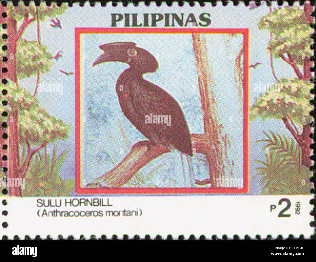 Anthracoceros montani 1992 timbro delle Filippine Foto Stock
