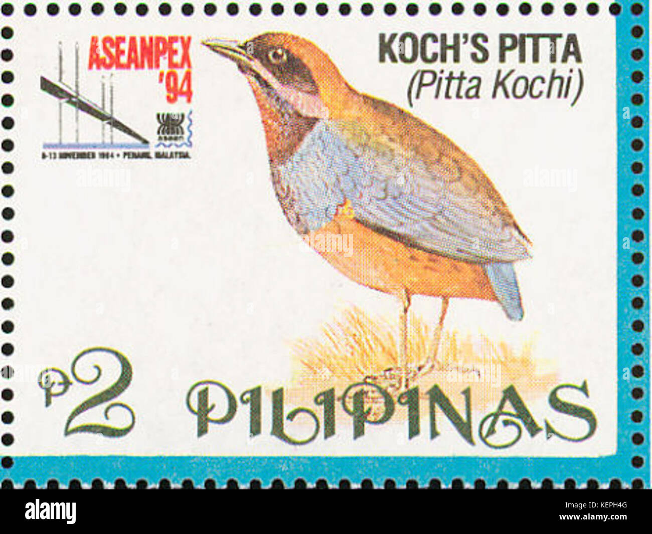 Erythropitta kochi 1994 timbro delle Filippine Foto Stock