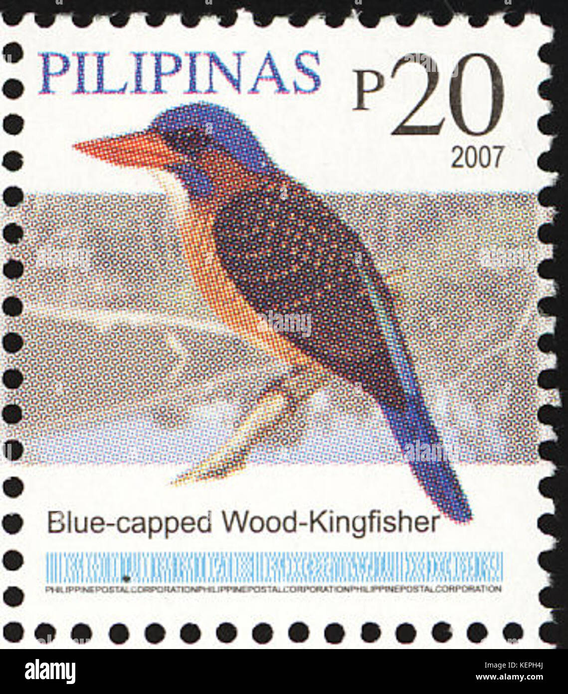 Actenoides hombroni 2007 timbro delle Filippine Foto Stock