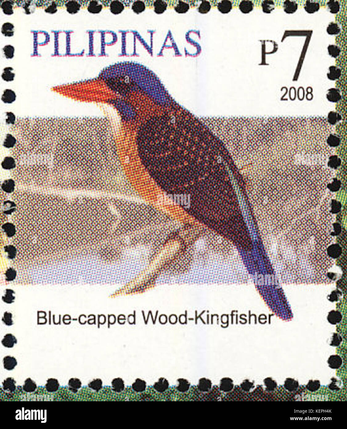 Actenoides hombroni 2008 timbro delle Filippine Foto Stock
