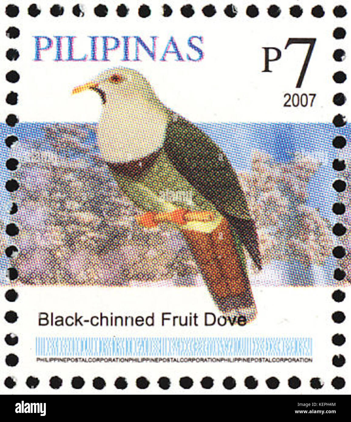 Ptilinopus leclancheri 2007 timbro delle Filippine Foto Stock