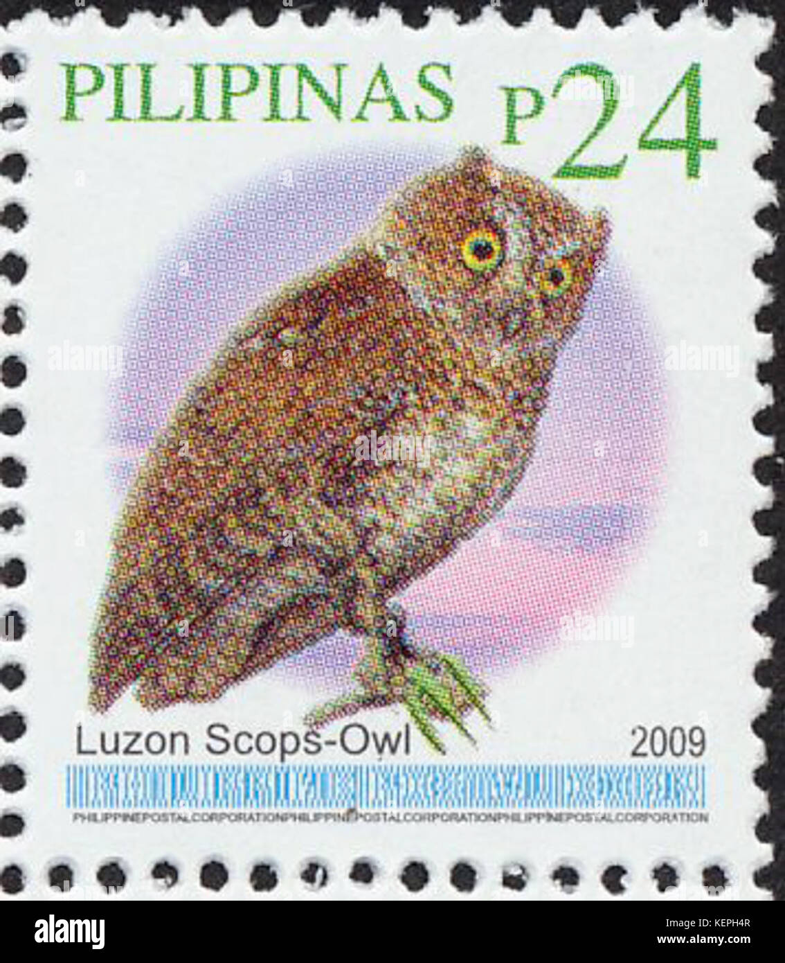 Il francobollo delle Filippine del 2009 presenta Otus longicornis, una specie di gufo, evidenziandone le caratteristiche distintive e l'importanza nella conservazione della fauna selvatica locale. Foto Stock